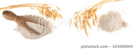 oat spike with flour in wooden scoop isolated on white background. Top view. Flat lay 103009004