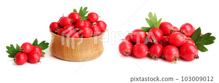 Hawthorn berry with leaf in a wooden bowl isolated on white background close-up Hawthorn berry with leaf in a wooden bowl isolated on white background close-up 103009012
