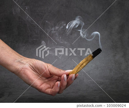 palo santo in studio 103009024