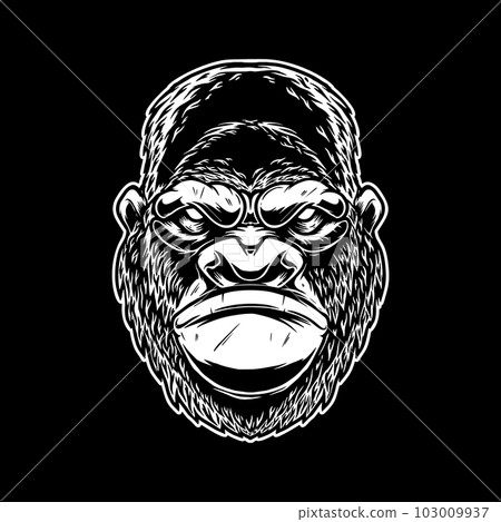 Illustration of head of angry ape in vintage monochrome style. Design element for logo, emblem, sign, poster, card, banner. Vector illustration Illustration of head of angry ape in vintage monochrome style. Design element for logo, emblem, sign, poster, card, banner. Vector illustration 103009937