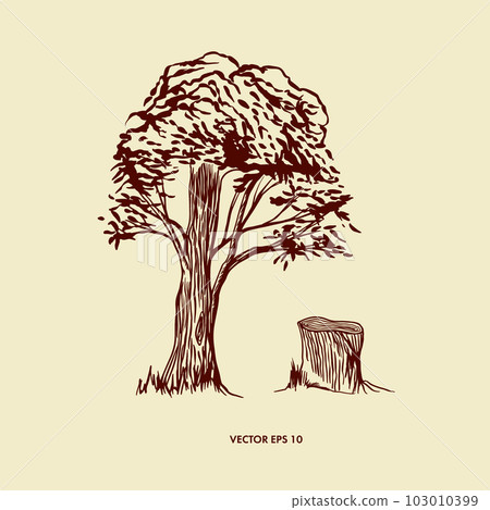 Vector deciduous tree and stump. Graphic arts. As a design element for decorative wall, banners, forest theme, book illustrations. Vector deciduous tree and stump. Graphic arts. As a design element for decorative wall, banners, forest theme, book illustrations. 103010399