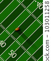 American football flyer 103011258