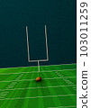 American football poster 103011259