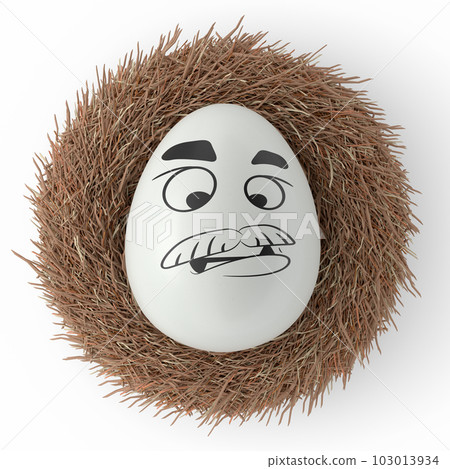 Farm white painted egg with expressions and funny face in bird nest Farm white painted egg with expressions and funny face in bird nest 103013934