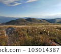 Autumn pattern of Venus Line in Nagano Prefecture 103014387