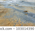 Cracked ground in Icelandic hot springs 103014390