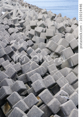 Wave-dissipating block along Route 8, Niigata Prefecture 103014446