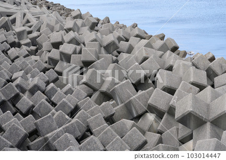 Wave-dissipating block along Route 8, Niigata Prefecture 103014447