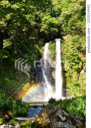 Fresh green Hattan Falls 103014942