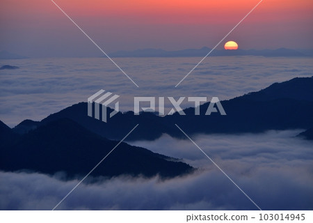 Iwawayama的雲海 Iwawayama的雲海 103014945