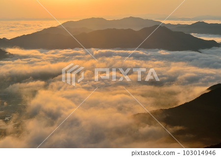 Iwawayama的雲海 103014946