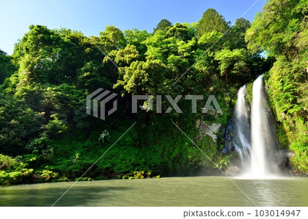 新鮮的綠色哈丹瀑布 103014947