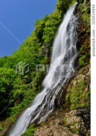 新鮮的綠色的淡水 103014948