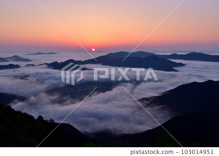 Iwawayama的雲海 103014951