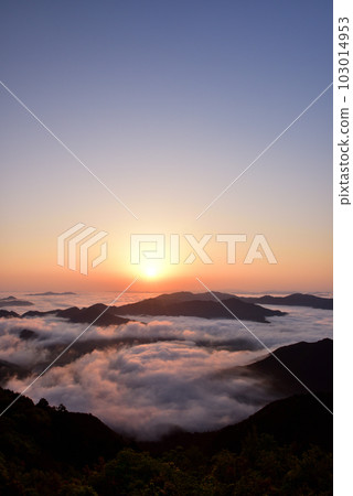 Iwawayama的雲海 103014953