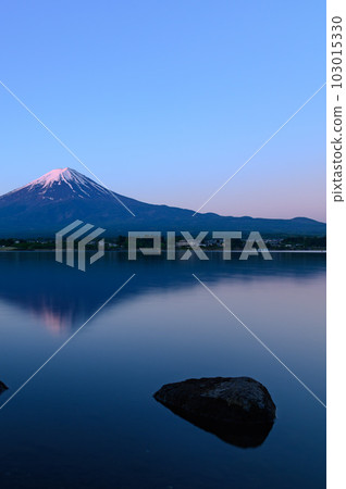 A superb view of upside-down Mt. Fuji reflected in Lake Kawaguchi in the early morning 103015330