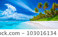 A picturesque view of Maldives island's tropical beach, with its soft white sand, swaying palm trees, and crystal-clear turquoise waters, all created by Generative AI 103016134