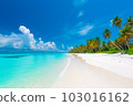 A beautiful panoramic view of Maldives island's tropical beach, showcasing its pristine white sand, lush palm trees, and crystal-clear turquoise waters, all generated by Generative AI 103016162