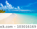 An idyllic scene of Maldives island's tropical beach, featuring its soft white sand, tall palm trees, and crystal-clear turquoise waters, all generated by Generative AI 103016169