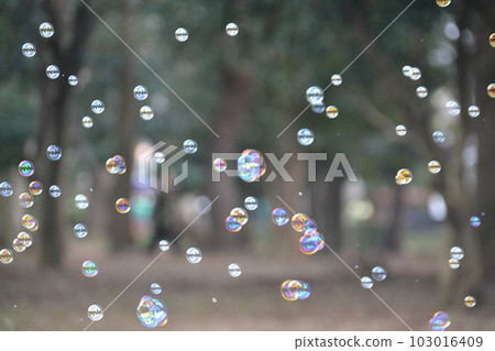 肥皂泡 103016409