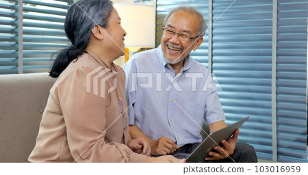 Couple of happy senior people smiling and spending time at home 103016959