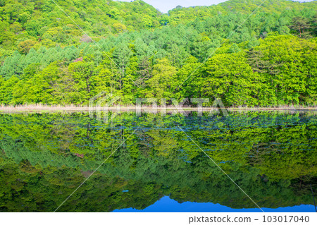 Omine-numa Mizukagami Fresh green scenery Minakami Town 103017040