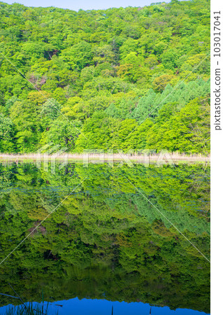 Omine-numa Mizukagami Fresh green scenery Minakami Town 103017041