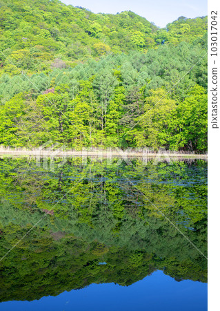 Omine-numa Mizukagami Fresh green scenery Minakami Town 103017042