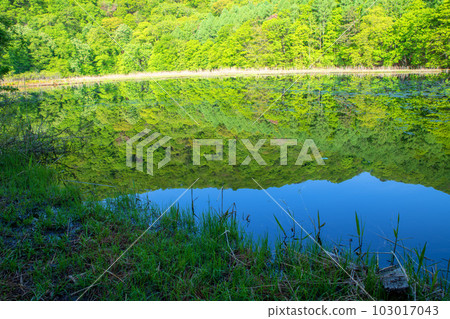 Omine-numa Mizukagami Fresh green scenery Minakami Town 103017043