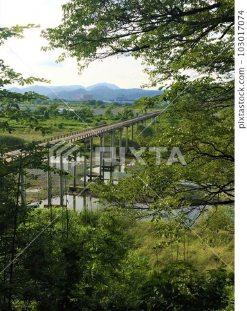 樹木間的蓬萊橋 樹木間的蓬萊橋 103017074