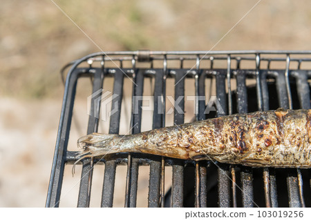 [Salted sardine grilled at the auto campsite] 103019256
