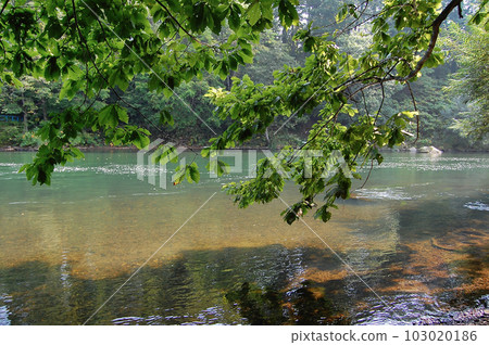 Hokkaido fishing Shiribetsu River where snow melt remains Mountain stream fishing Hokkaido fishing Shiribetsu River where snow melt remains Mountain stream fishing 103020186