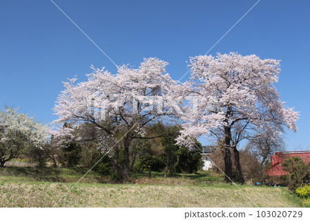 卡拉 OK 草山公園 103020729