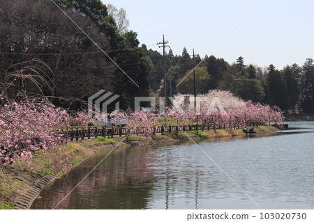 卡拉 OK 草山公園 103020730