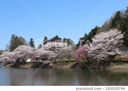 卡拉 OK 草山公園 103020744
