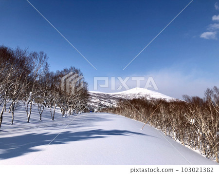 被雪覆蓋的北海道粉雪 66 號公路 103021382