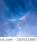Rainbow 103021846