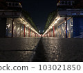 Nakamise Asakusa 103021850