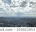 Tokyo's sky 103021853