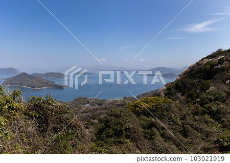 從休出山山頂眺望（香川縣水豐市） 103021919