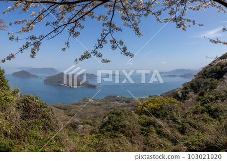 從休出山山頂眺望(香川縣水豐市) 從休出山山頂眺望(香川縣水豐市) 103021920