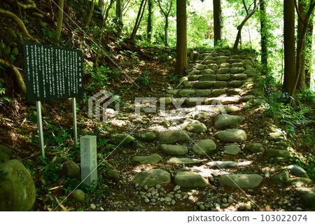 島田市：石板路（舊島台坂）和鳳來橋南岸的信息板 103022074