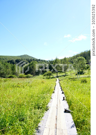 27 Nyukasa Shitsugen, Fujimi Town, Suwa District, Nagano Prefecture 103025392
