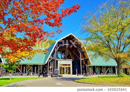北海道岩見澤 Log Hotel Maple Lodge 北海道岩見澤 Log Hotel Maple Lodge 103025841