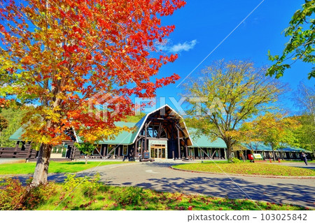 北海道岩見澤 Log Hotel Maple Lodge 北海道岩見澤 Log Hotel Maple Lodge 103025842
