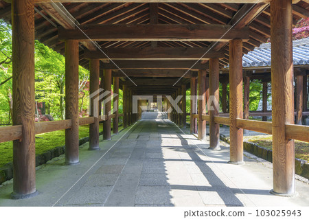 東福寺、通天橋、新綠的季節（京都市東山區） 103025943