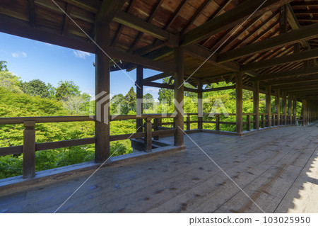 東福寺，從通天橋眺望，綠意盎然的季節（京都市東山區） 103025950