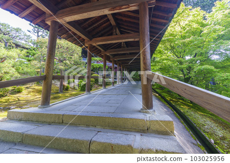 東福寺、通天橋、新綠的季節（京都市東山區） 103025956