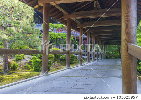 東福寺、通天橋、新綠的季節（京都市東山區） 103025957