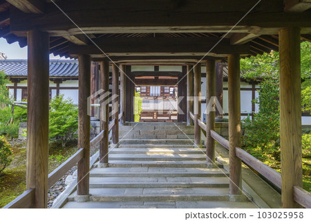 新綠季節的東福寺、通天橋、開山堂(京都市東山區) 新綠季節的東福寺、通天橋、開山堂(京都市東山區) 103025958